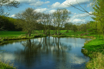 Fototapeta na wymiar Spring time by the pond