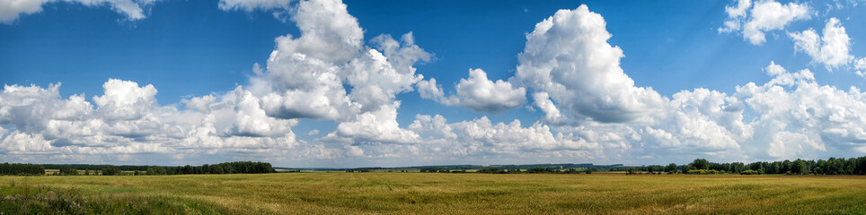Fototapeta na wymiar Panorama of summer field and clouds