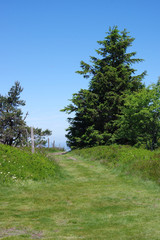 chemin dans le parc naturel du Pilat, loire