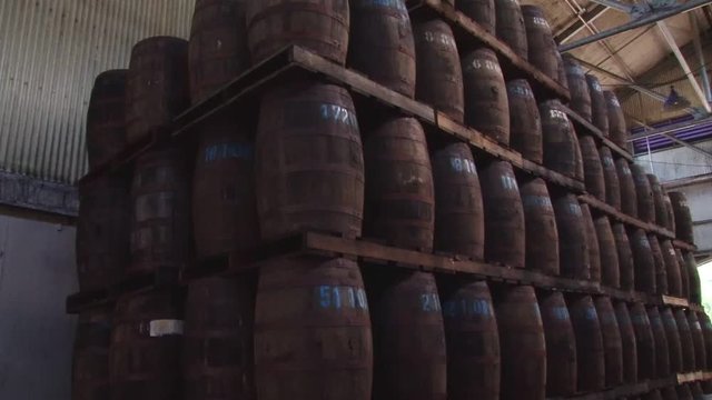 Tilt up of Depaz wooden barrels with rhum at distillery on Martinique