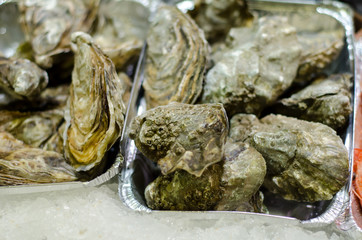 Raw oyster for sale.