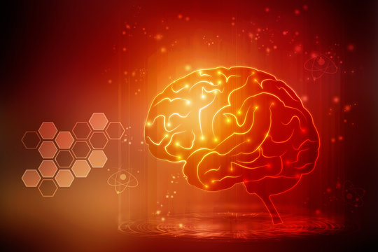 Human brain 3d illustration