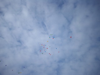 Colorful balloons fly in the sky