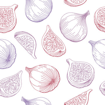 Fig fruit graphic color seamless pattern sketch background illustration vector