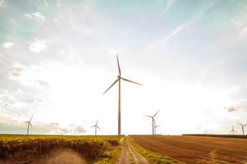 Obraz premium Wind power generators on agricultural fields at sunset. Toned.