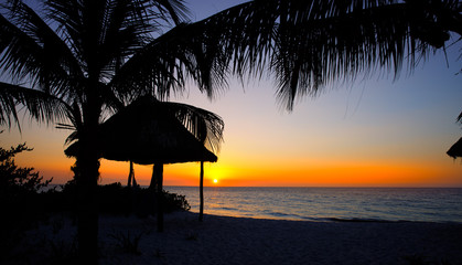 sunset with palm trees and hut