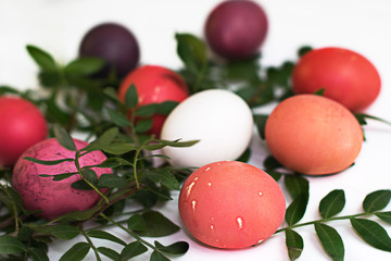 Easter multicolored eggs on a white background with green branches
