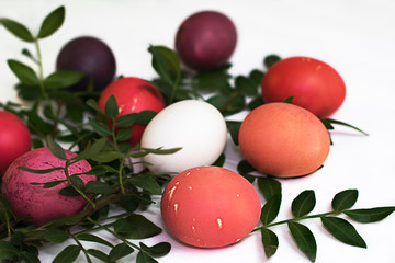 Easter multicolored eggs on a white background with green branches
