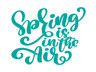 Spring is in the air modern calligraphy quote. Seasonal hand written lettering text, isolated on white background. Vector illustration