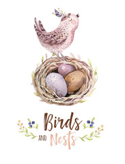 Hand drawing easter watercolor flying cartoon bird and eggs with leaves, branches and feathers. Watercolour spring art illustration in vintage boho style. Greeting bohemian cars.