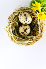 Naklejka na ściany i meble Easter background with easter eggs in a nest and spring flowers close-up.