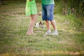 Dog beetween couple's lags. lovers and a dog on summer walk
