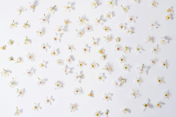 white flowers arranged on a white background like pattern