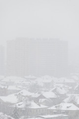 Obraz premium Snowfall in the city.