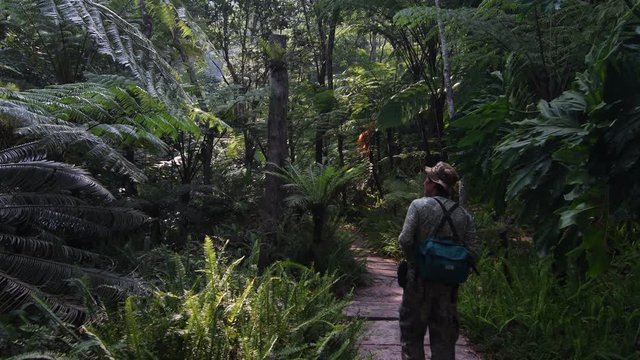 CHIANG MAI - APRIL 1, 2018 :  The Traveler hiking to tropical rainforest at Inthanon national Park in Chiang Mai, Thailand.