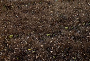 Spring earth