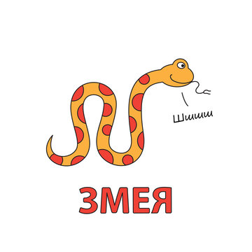 Cartoon Snake Flashcard for Children