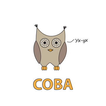 Cartoon Owl Flashcard for Children