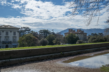 Fototapeta premium View of Lucca city from medieval fortress walls, Italy