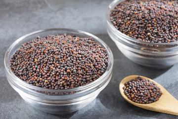 Mustard grains in the bowl - Brassica nigra