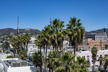 los angeles