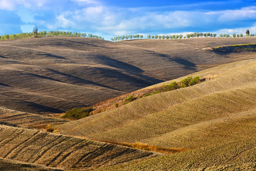 Fototapeta na wymiar Beautiful rural landscape, Tuscany in autumn