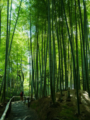 Fototapeta premium Japan