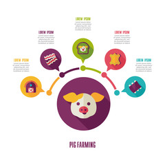 Pig farming icon and agriculture infographics