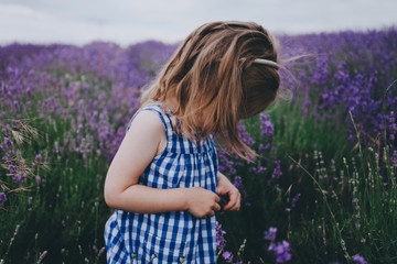 Toddler in a lavender field
