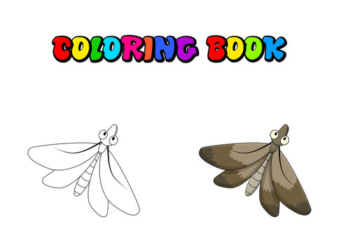 Cartoon moth coloring book insect isolated on white background