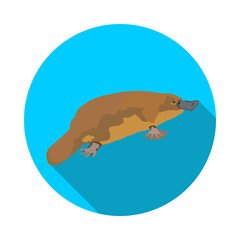 cool flat platypus icon