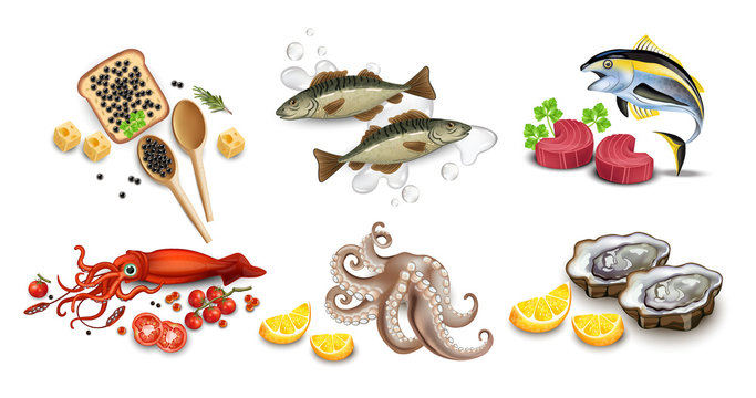 Tuna fish, caviar, squid, oysters and octopus seafood set. Vector realistic detailed illustrations