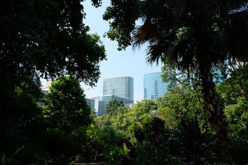 Hong Konk sity - travel