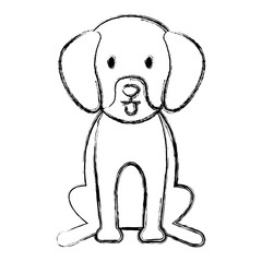 dog bred pet friendly vector illustration design