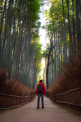 Male traveller standing in front of bamboo forest with photographer backpack.