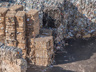 Papier Wiederverwertung Recycling Kreislaufwirtschaft