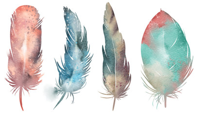 Feather set, watercolor