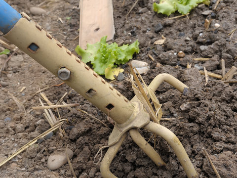 Sortez vos outils de jardin, c'est la saison !