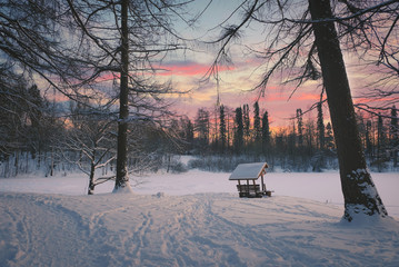 evening landscape, a gazebo in the forest on the shore of a frozen snow-covered lake against a...
