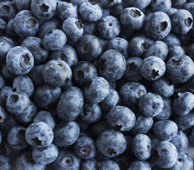 Fresh Blueberry Background. Texture blueberry berries close up