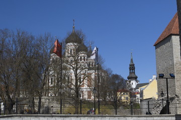 Obraz premium Estonia