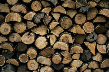 Firewood in woodpile