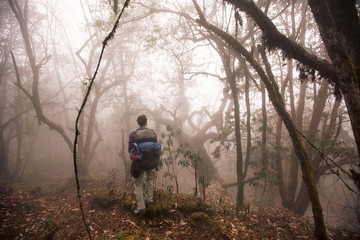 Hiker man walking in mist fog mountain jungle Rhododendron forest