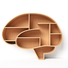 Bookshelves in the shape of human brain, intelligence book shelf concept 3d rendering 