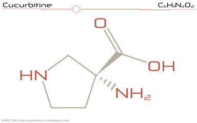 Large and detailed infographic of the molecule of Cucurbitine