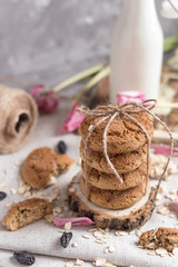 Delicious oatmeal cookies with milk on the light concrete background.