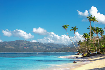 empty beautiful Caribbean beach with white sand and high palm trees
