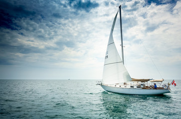 Sailboat and seascape