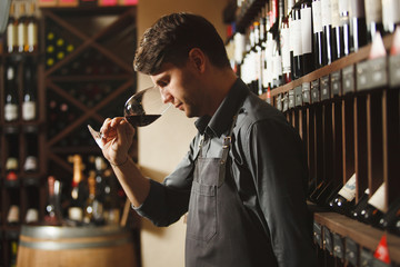 Bartender stands in cellar and smells wine in glass