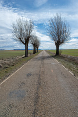 Road through the countryside of the province of Zaragoza.